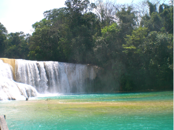 Agua Azul chute.PNG