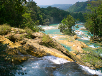 Agua Azul ens..PNG