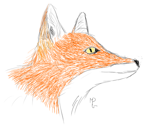 Renard 2.png