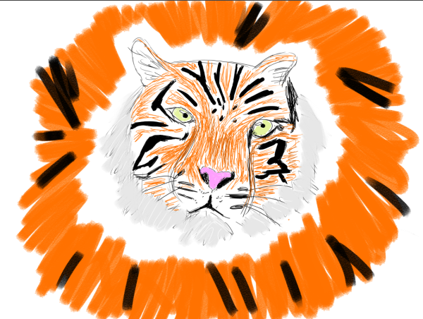 Tigre.png