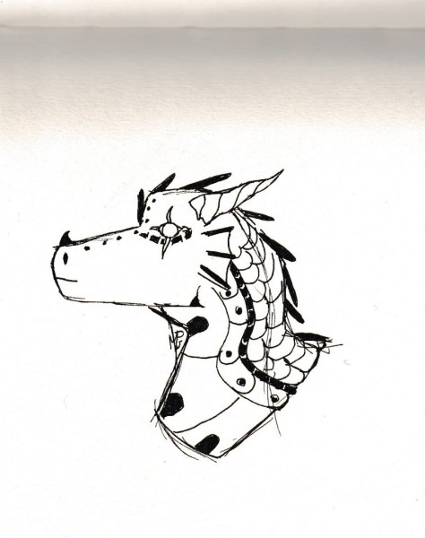 head dragon.jpg