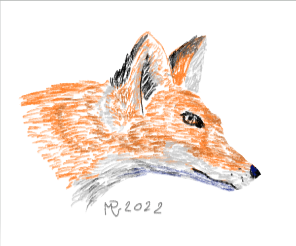 renard