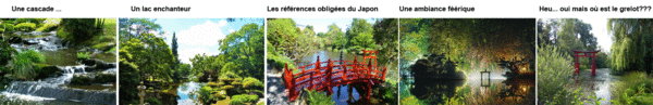 ni-japonais-ni_disney.gif