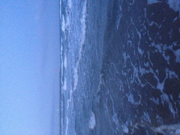 IMG_1784.JPG