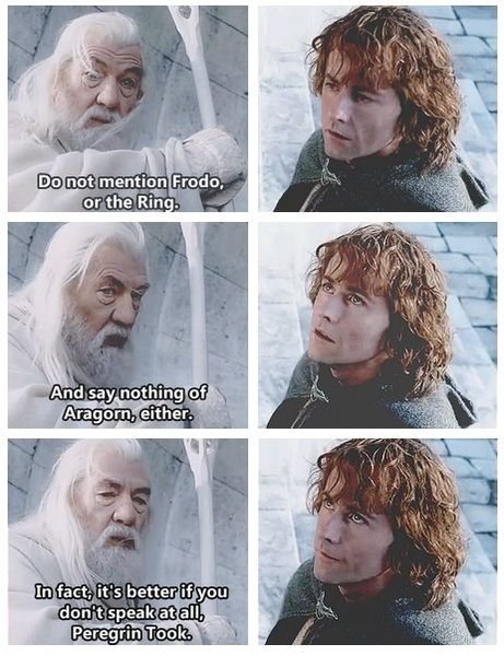 gandalf-pippin.jpg