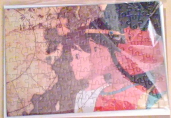 Puzzle MCO