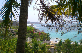 Notre petit coin de Paradis: Mazunté, petit village sur la côte pacifique sud.