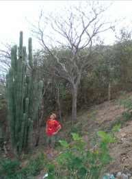 On rigole pas avec les cactus au Mexique!