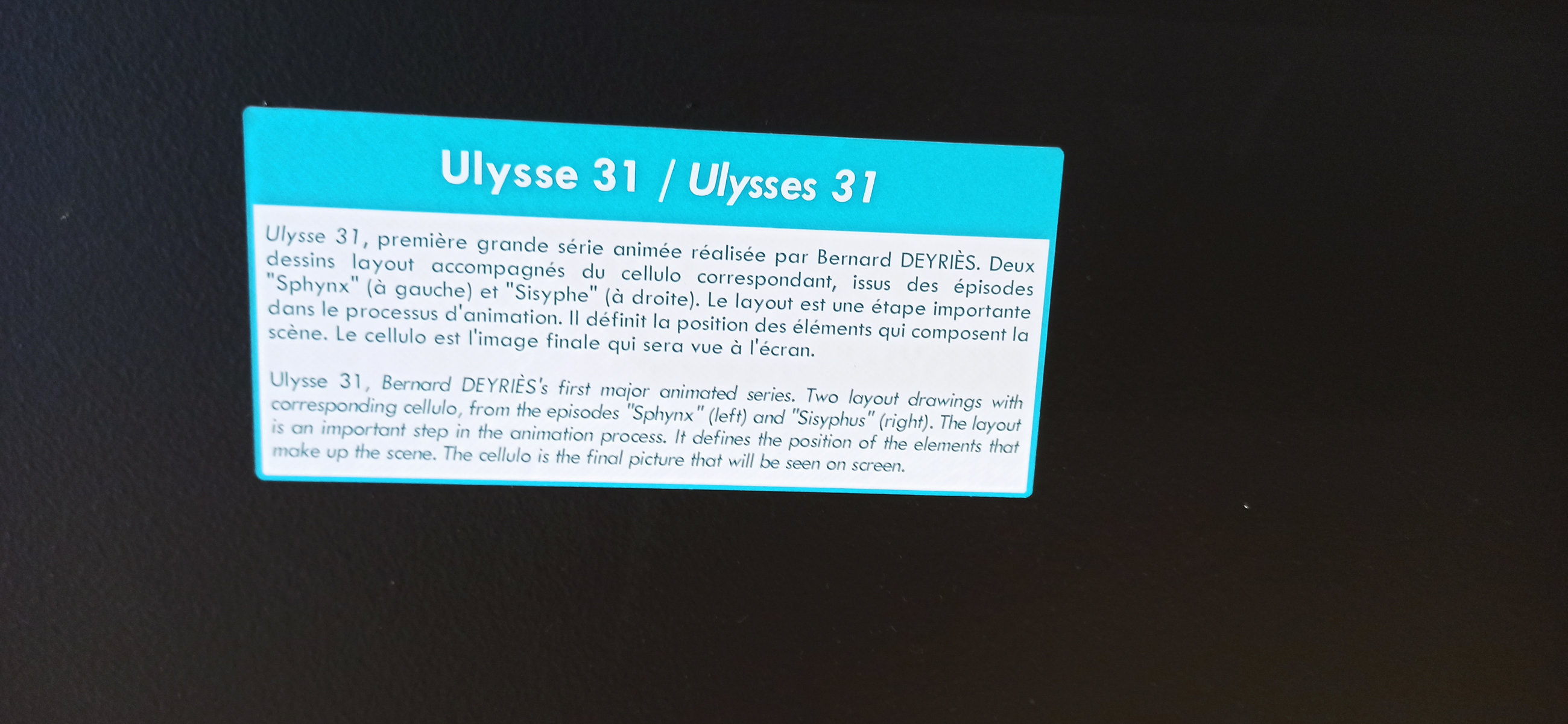 Exposition in Azay-le-Rideau (2013) - 21/109