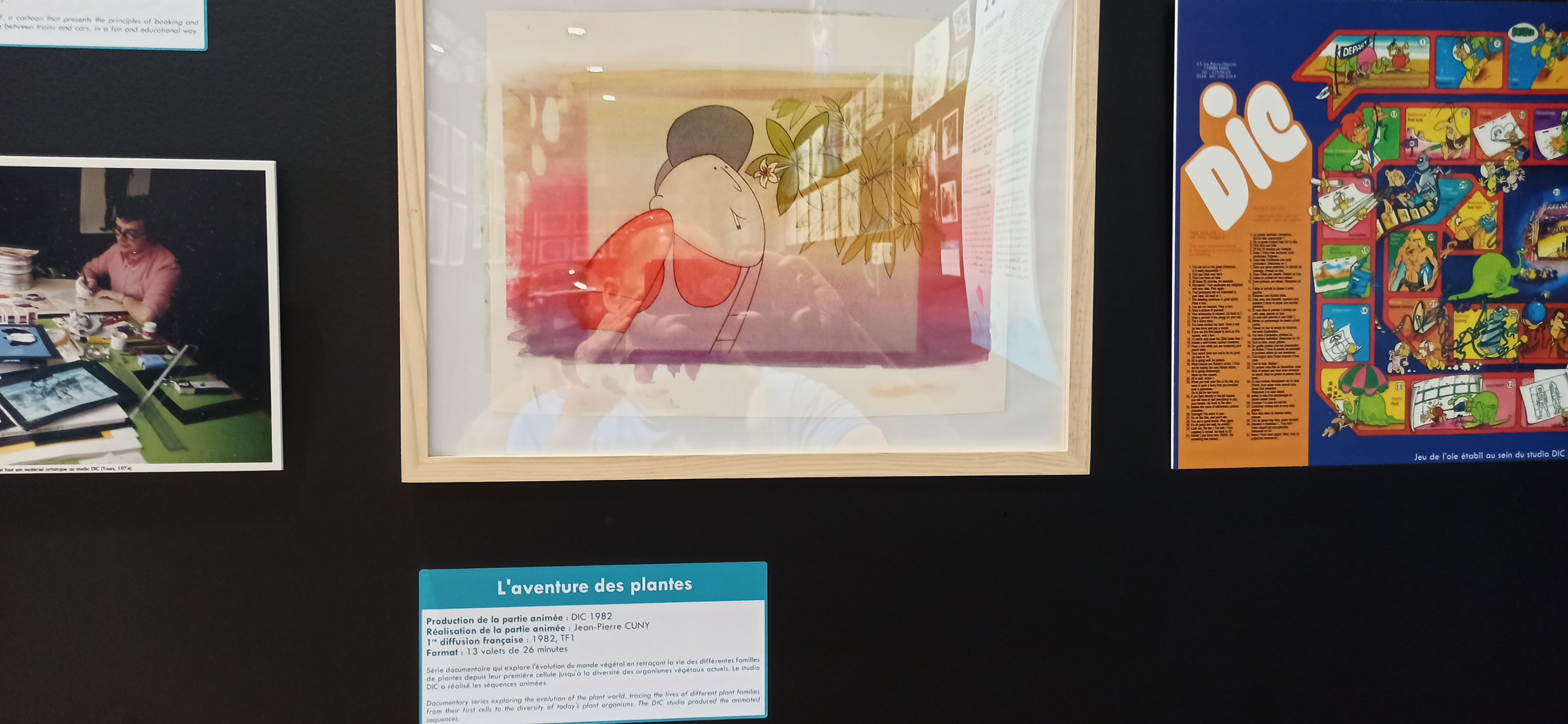 Exposition in Azay-le-Rideau (2013) - 31/109