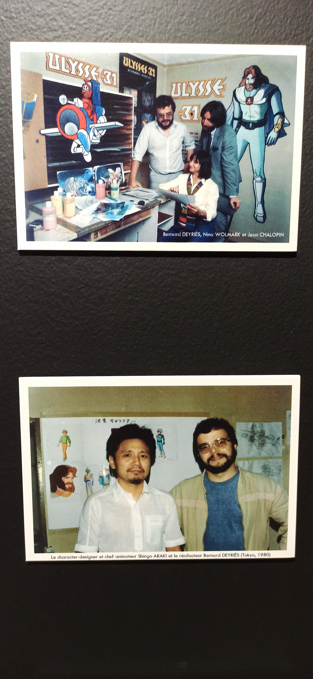 Exposition in Azay-le-Rideau (2013) - 34/109