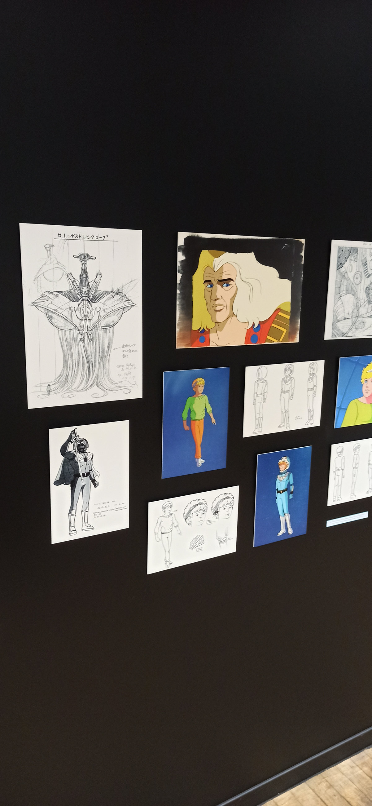 Exposition in Azay-le-Rideau (2013) - 44/109