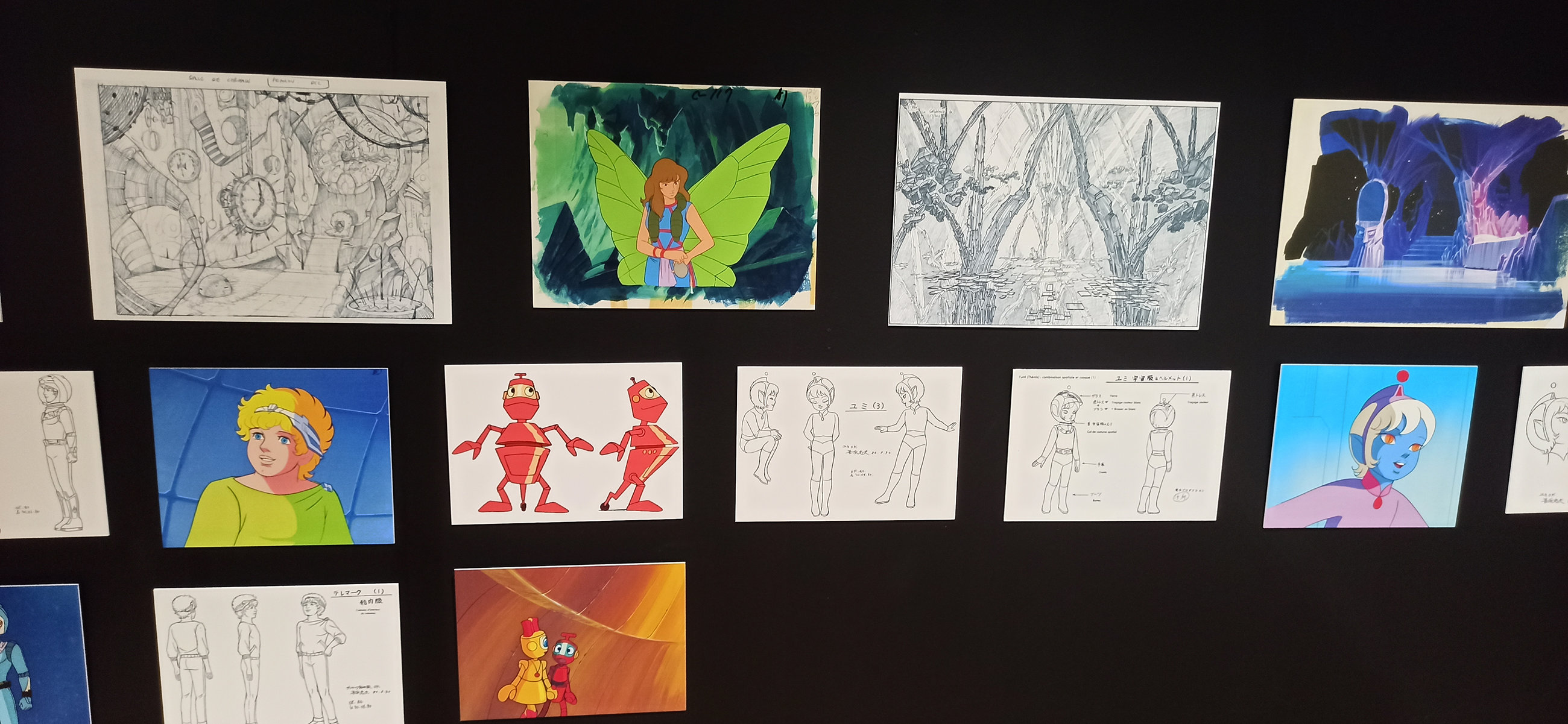 Exposition in Azay-le-Rideau (2013) - 45/109