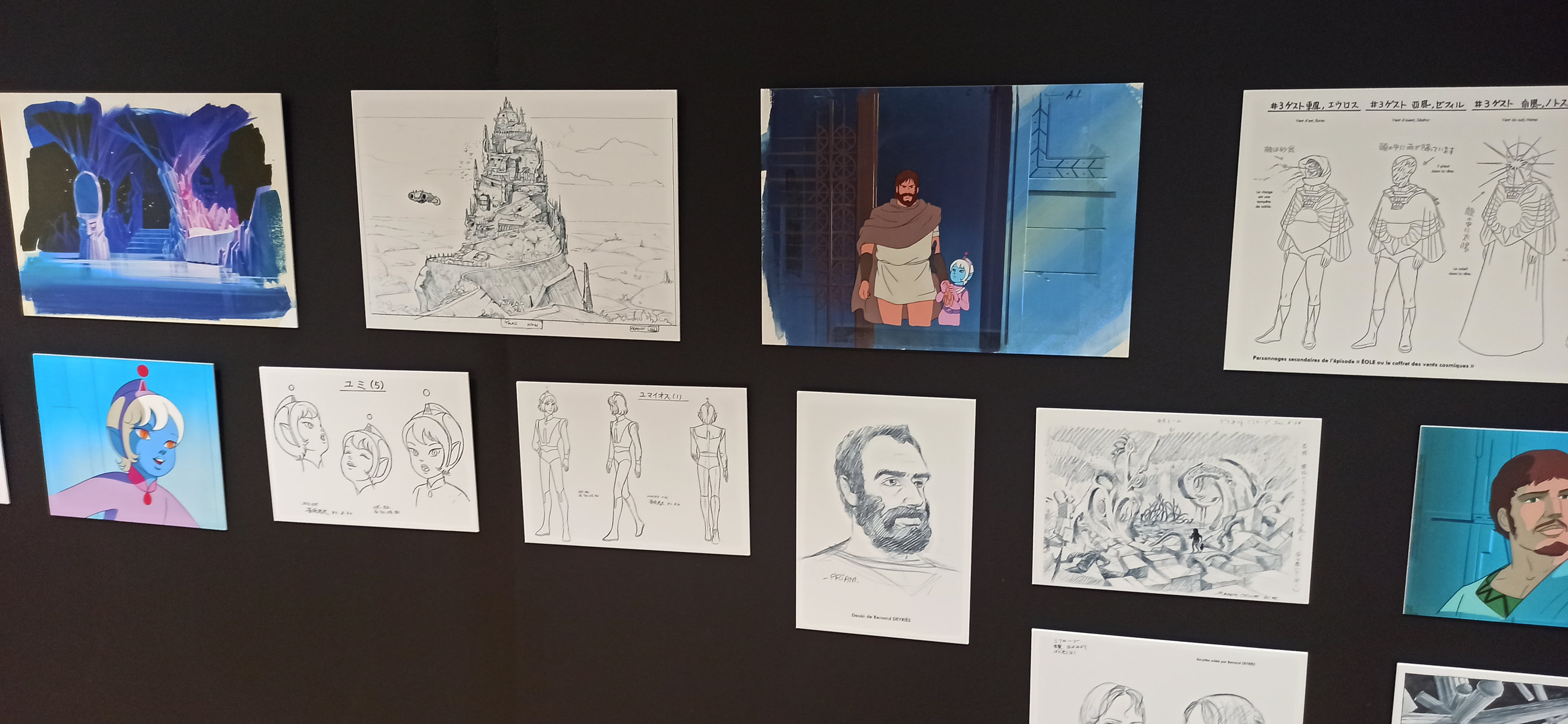 Exposition in Azay-le-Rideau (2013) - 46/109