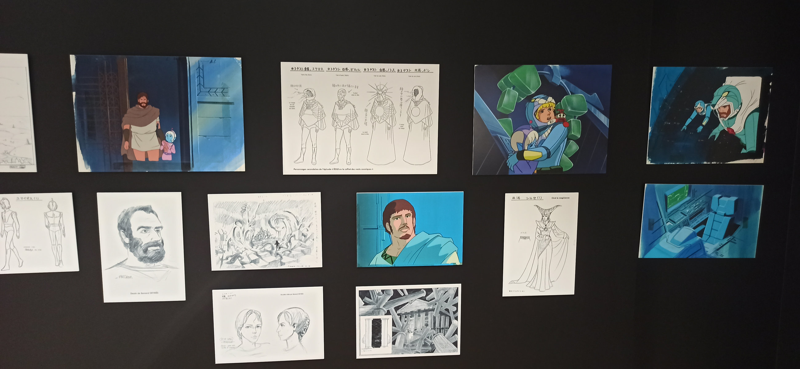 Exposition in Azay-le-Rideau (2013) - 47/109