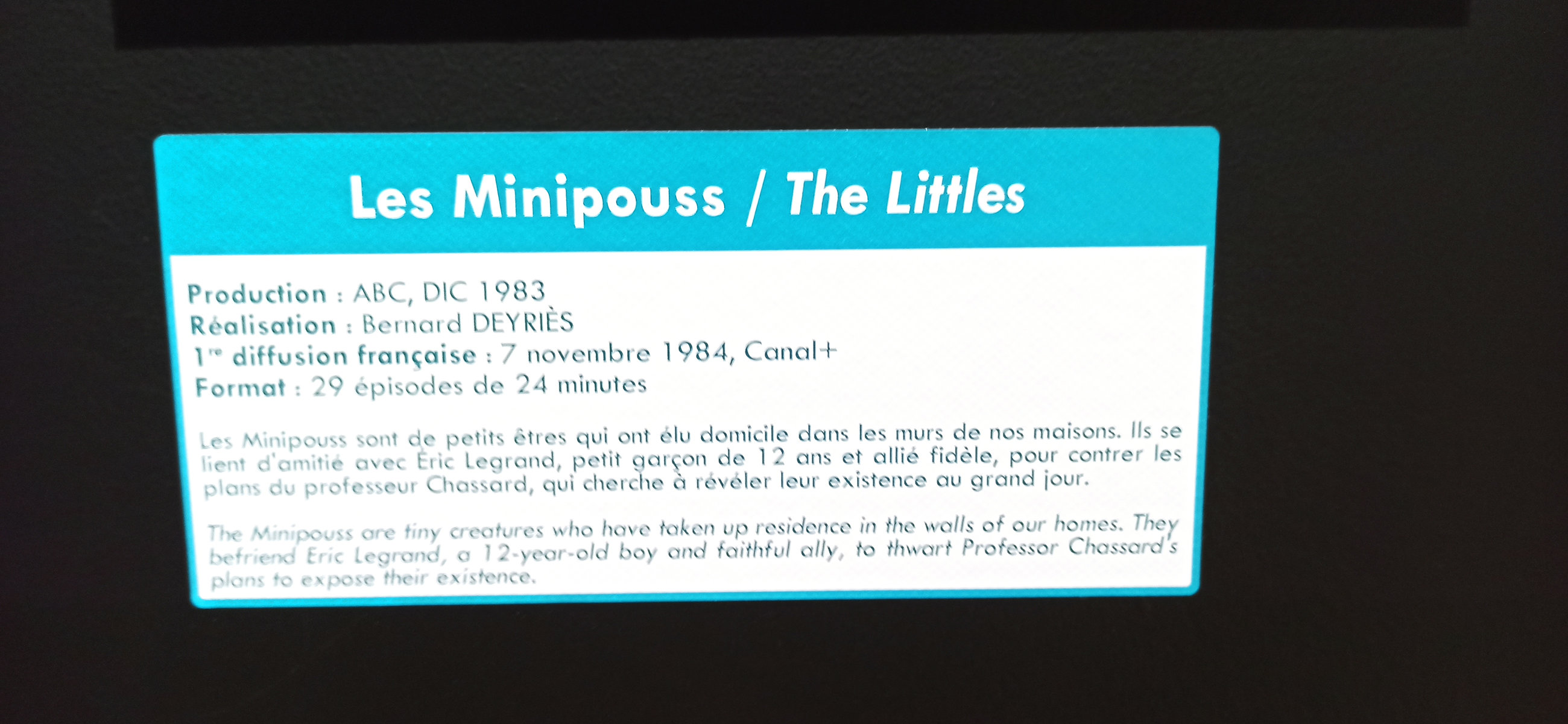 Exposition in Azay-le-Rideau (2013) - 59/109