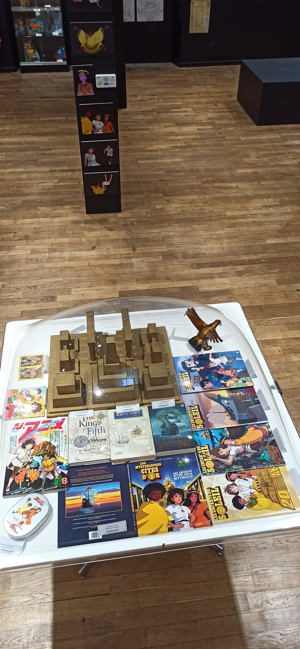 Exposition in Azay-le-Rideau (2013) - 72/109