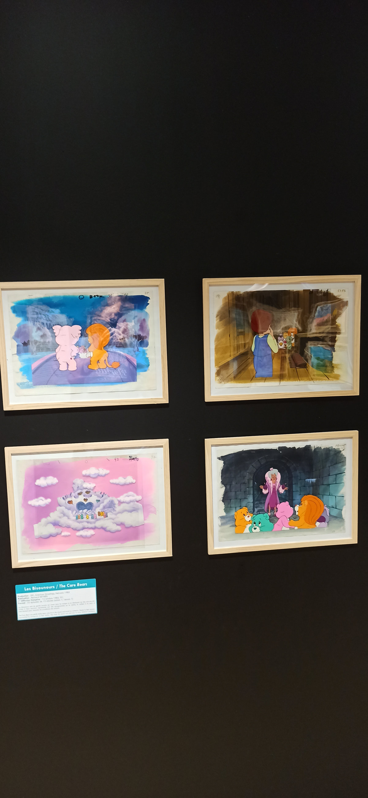 Exposition in Azay-le-Rideau (2013) - 87/109