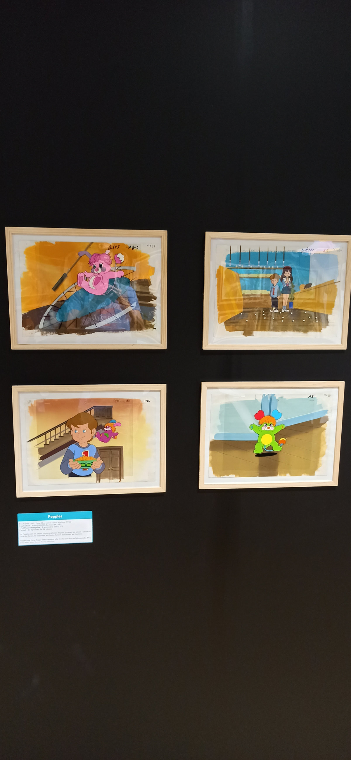 Exposition in Azay-le-Rideau (2013) - 89/109