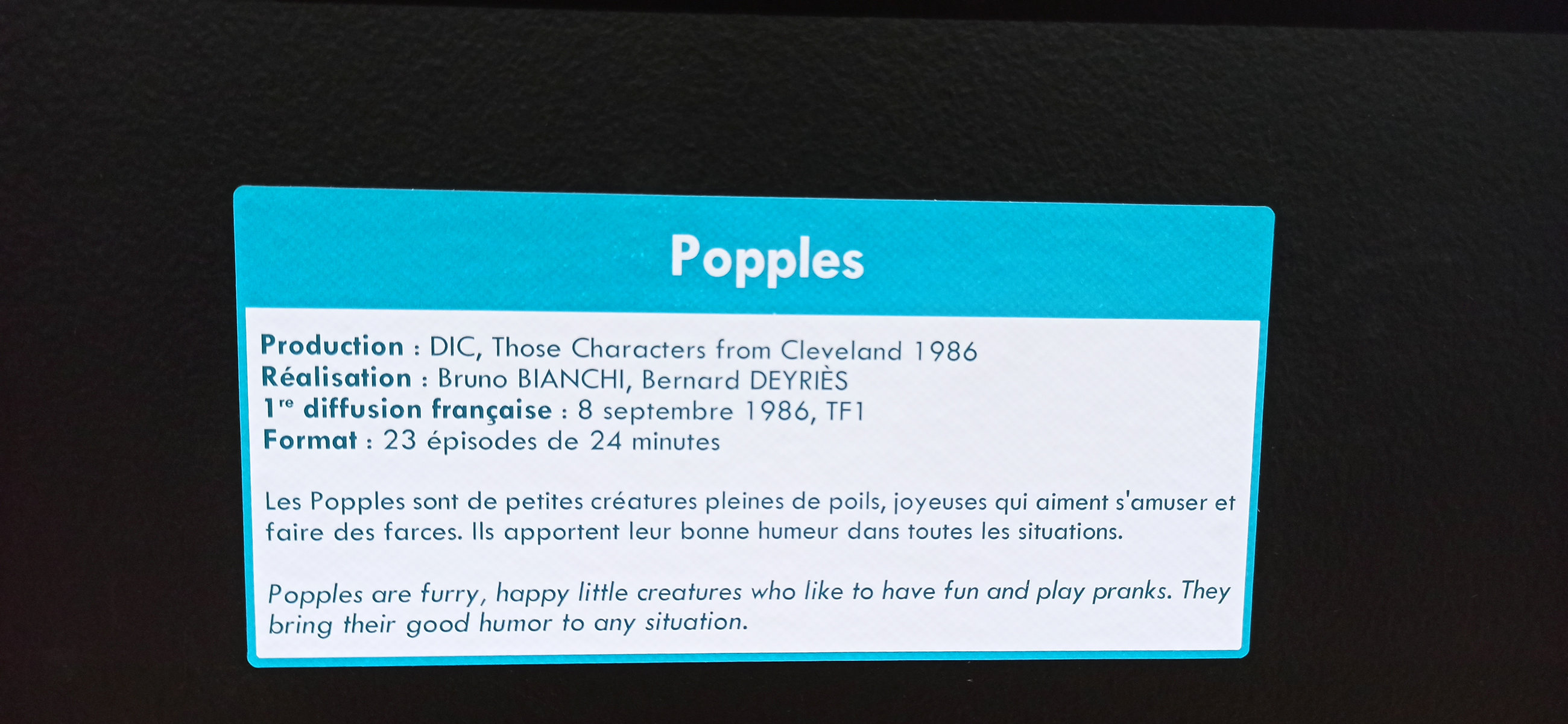 Exposition in Azay-le-Rideau (2013) - 90/109