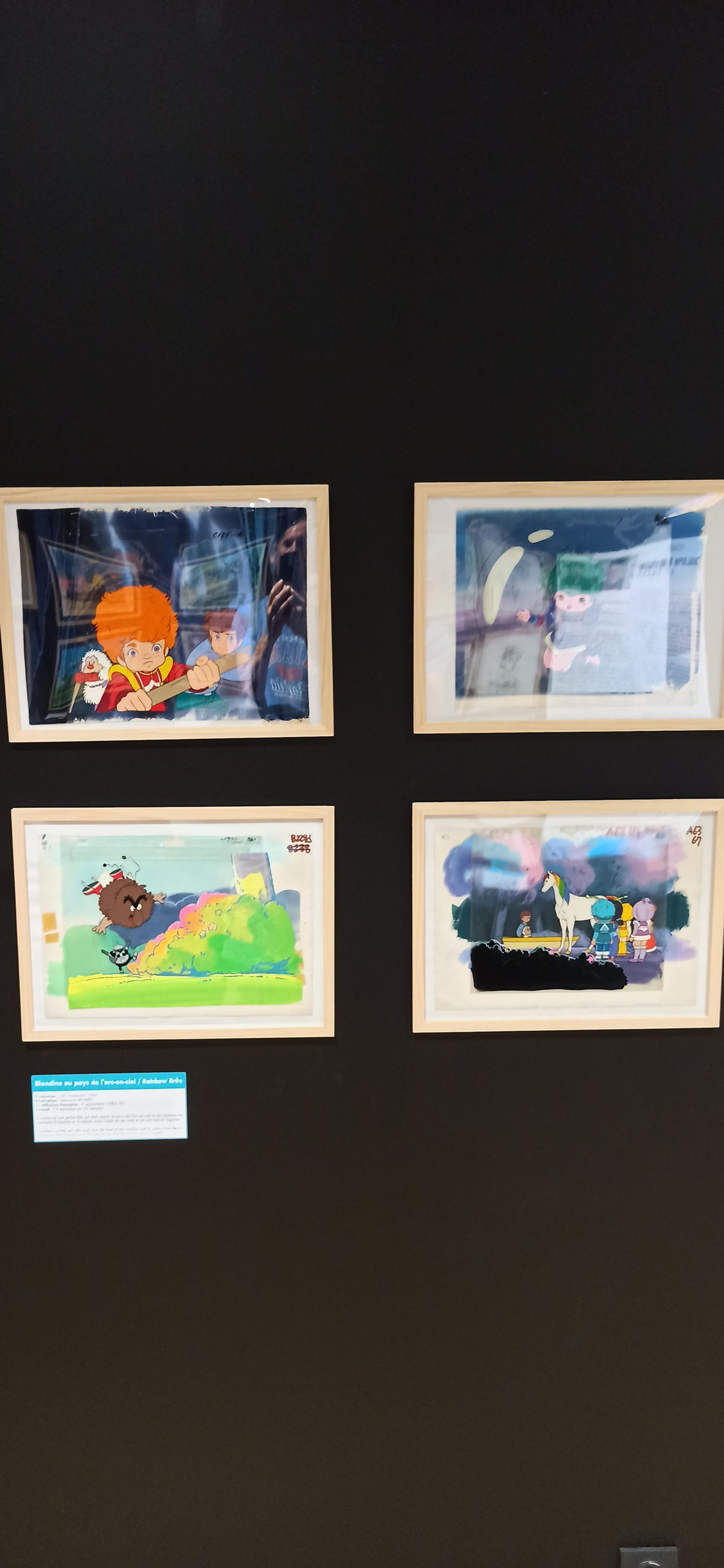 Exposition in Azay-le-Rideau (2013) - 91/109