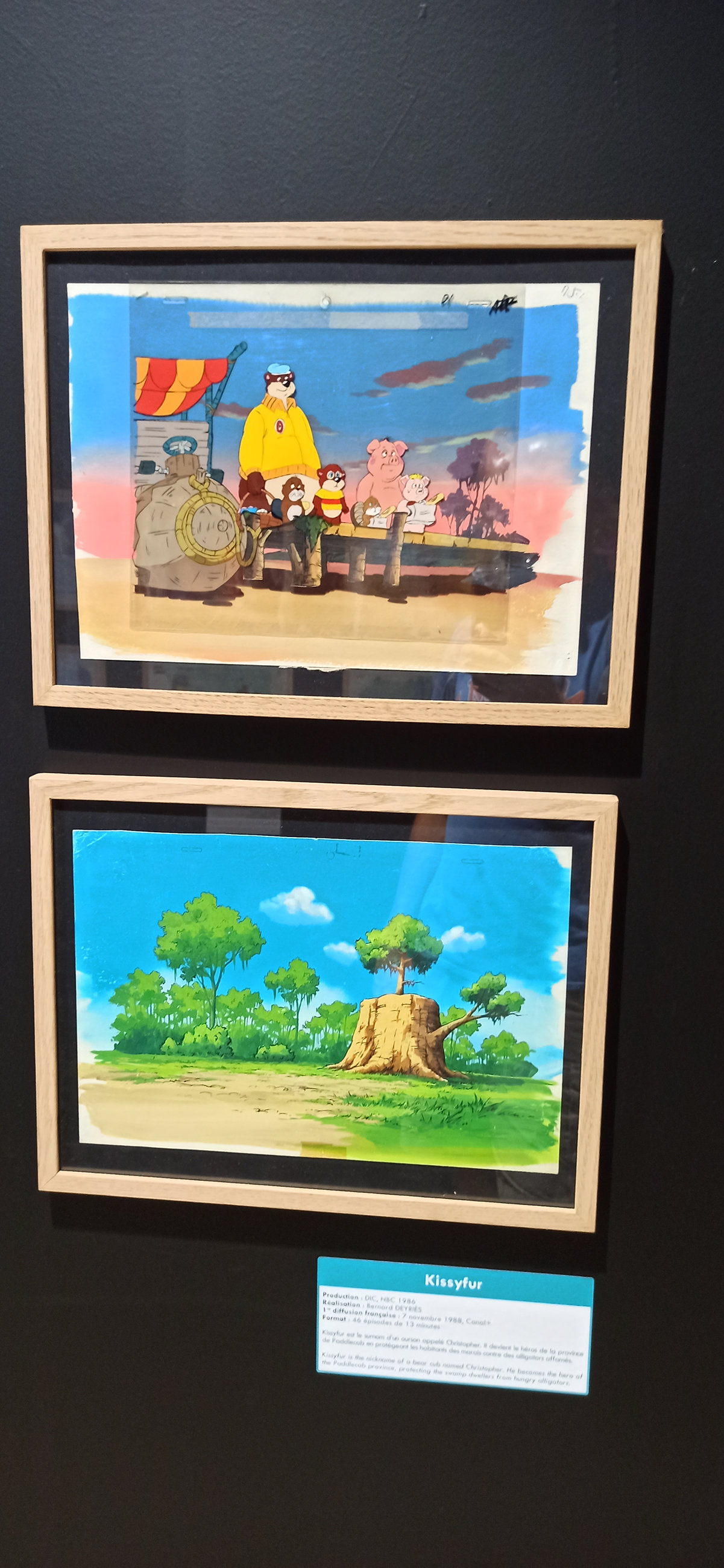 Exposition in Azay-le-Rideau (2013) - 100/109