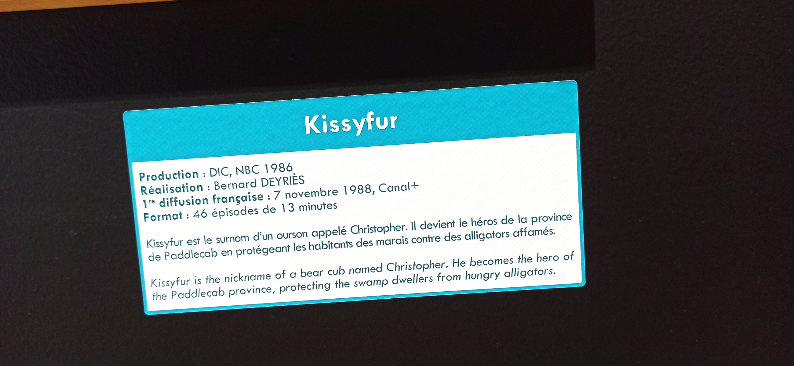 Exposition in Azay-le-Rideau (2013) - 101/109