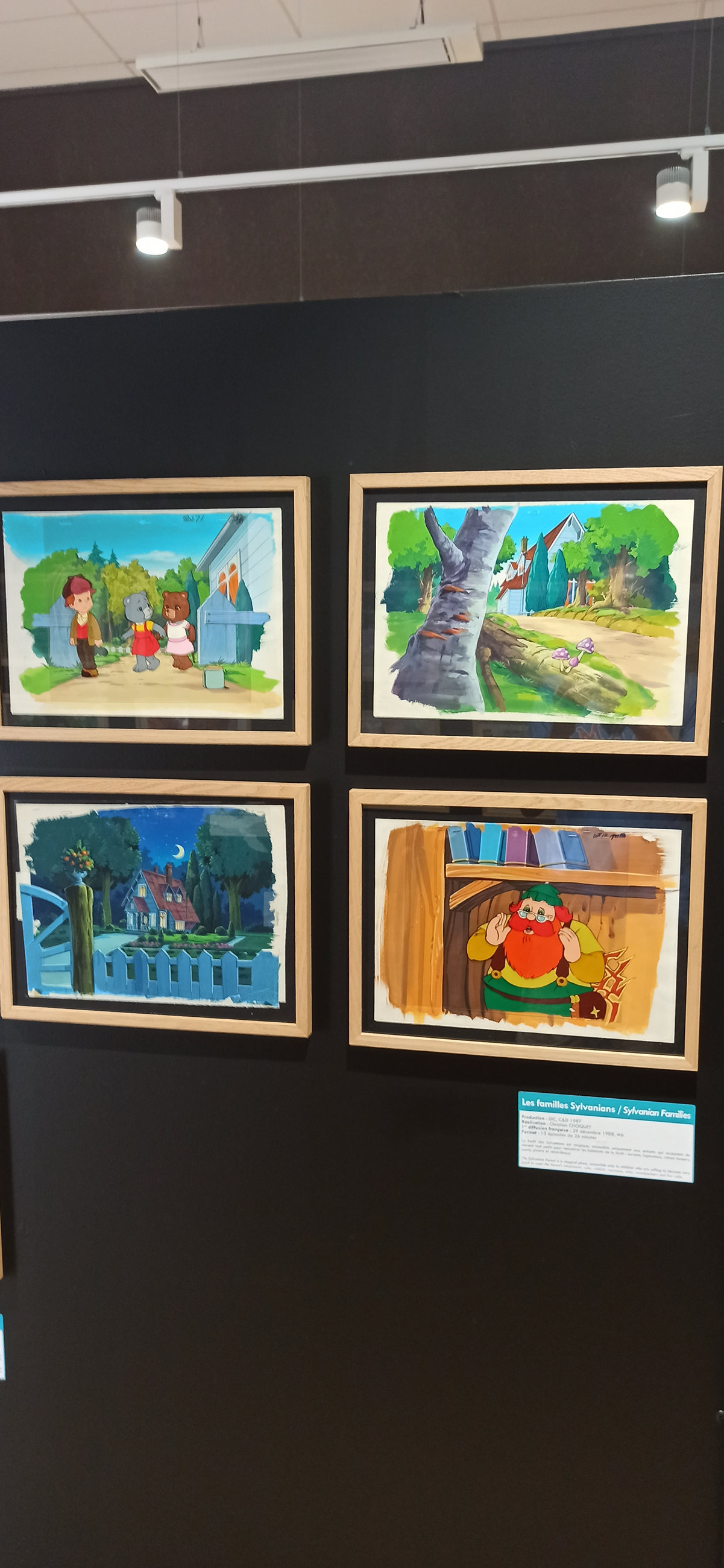 Exposition in Azay-le-Rideau (2013) - 102/109