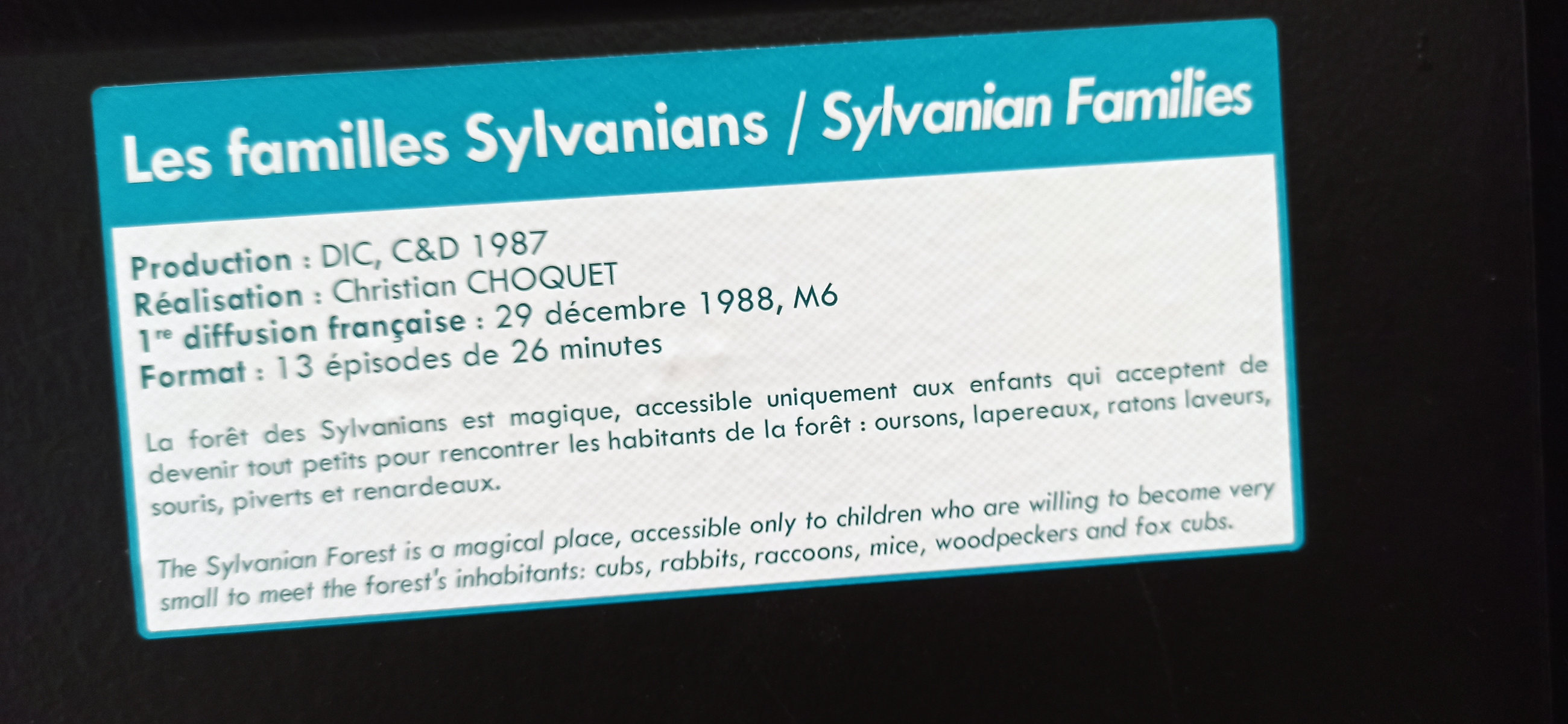 Exposition in Azay-le-Rideau (2013) - 103/109