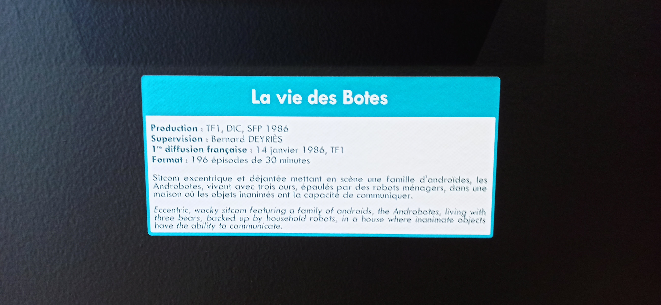 Exposition in Azay-le-Rideau (2013) - 105/109