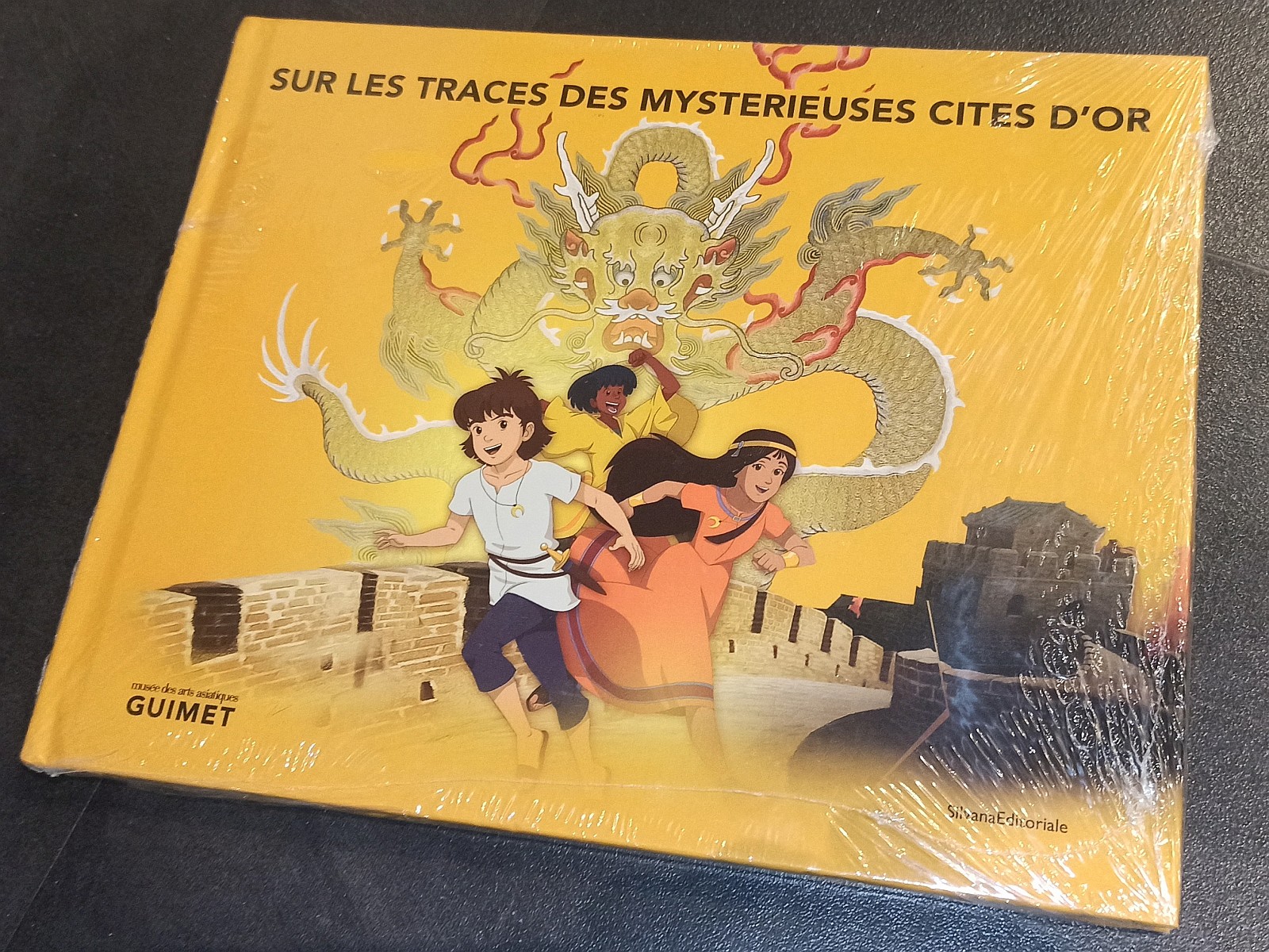 Exposition in a museum in Nice (2013) - 3/94