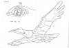 Original settei from season 1 - 29/31
